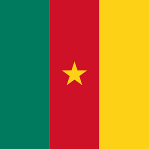 {locationLogo=/img/flags/cm.png, locationName=Cameroon, locationCode=CM, operatorList=[Ljava.lang.Object;@75e58704}