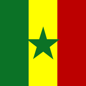 {locationName=Senegal, locationLogo=/img/flags/sn.png, operatorList=[Ljava.lang.Object;@6817c73a, locationCode=SN}